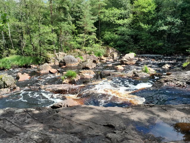 Zweedse leefstijl helpt bij perfectionisme - Perfectionisme Coaching Zweedse leefstijl helpt bij perfectionisme - Perfectionisme Coaching