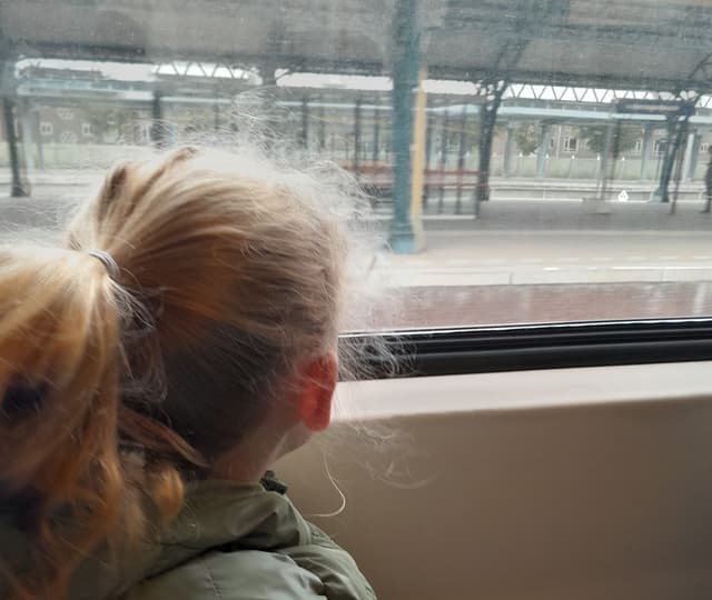 Nieuwsgierig zijn naar anderen, jezelf en de dingen om je heen🔎 - Perfectionisme Coaching Nieuwsgierig zijn naar anderen, jezelf en de dingen om je heen🔎 - Perfectionisme Coaching